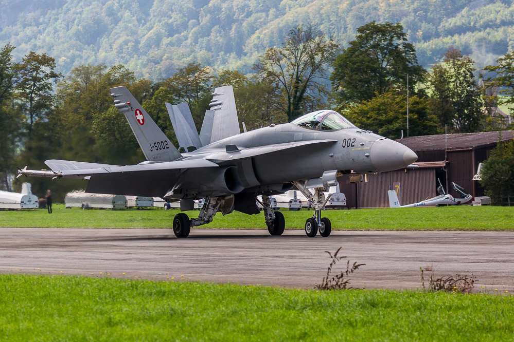 hornet_110