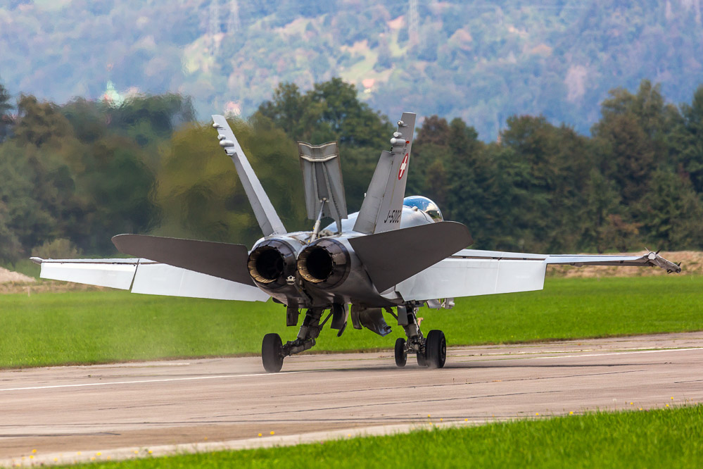 hornet_111