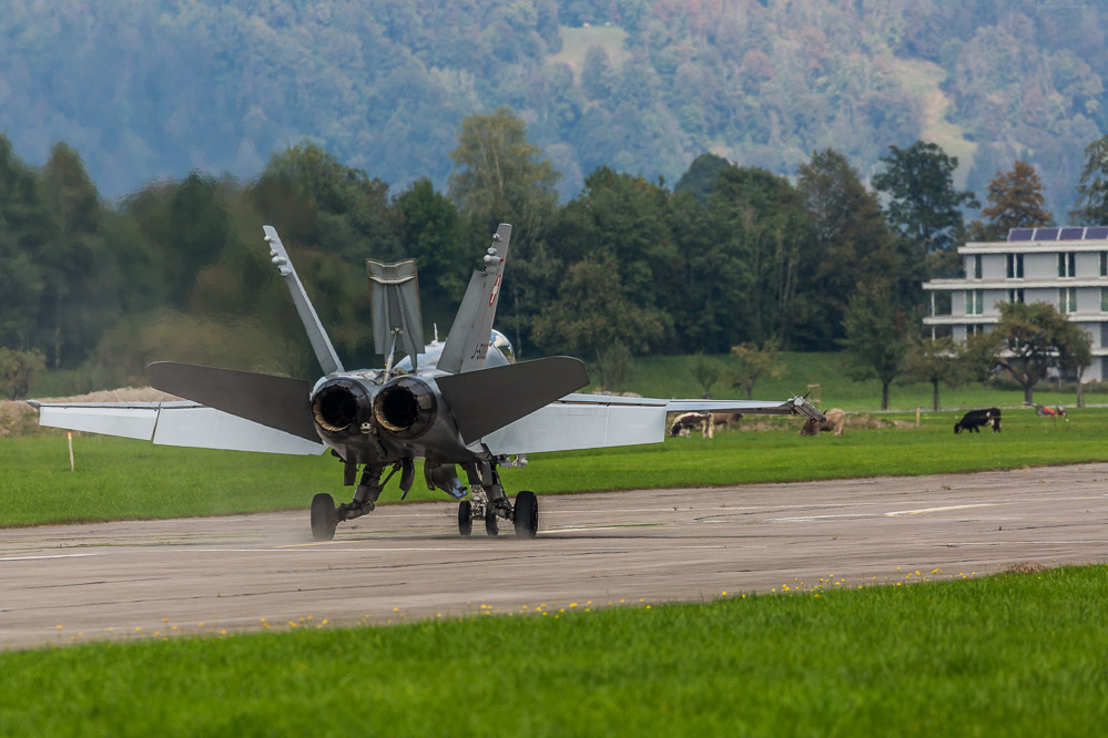 hornet_112