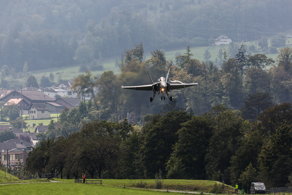 hornet_114
