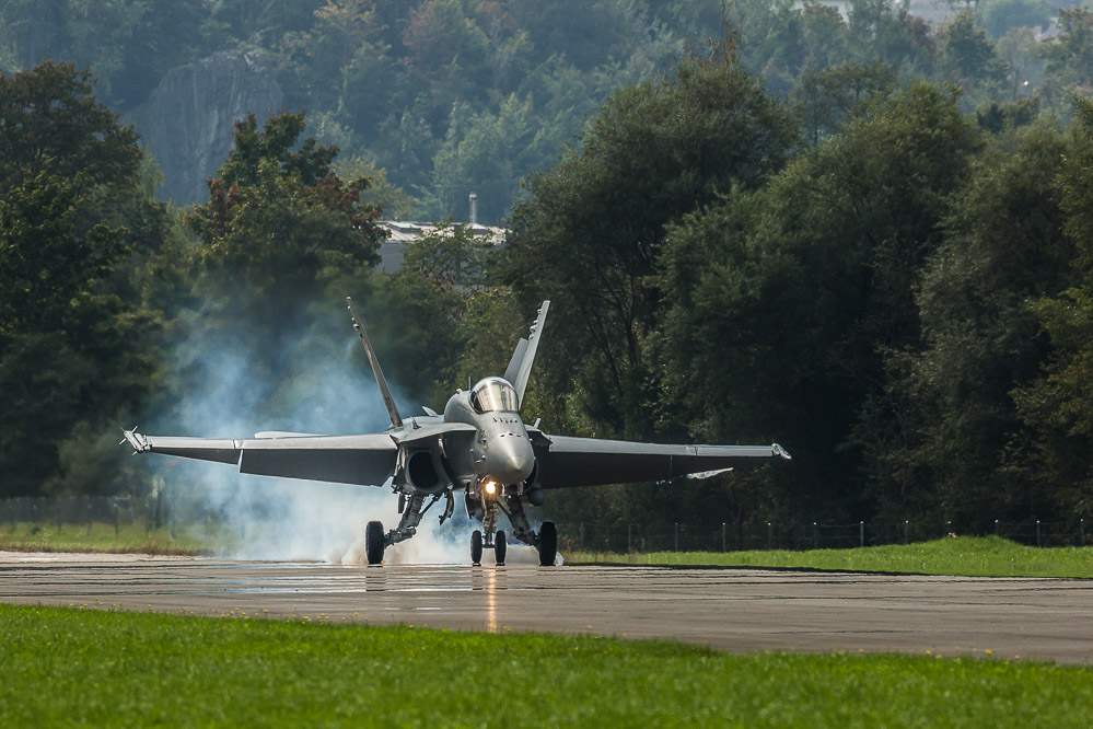 hornet_115