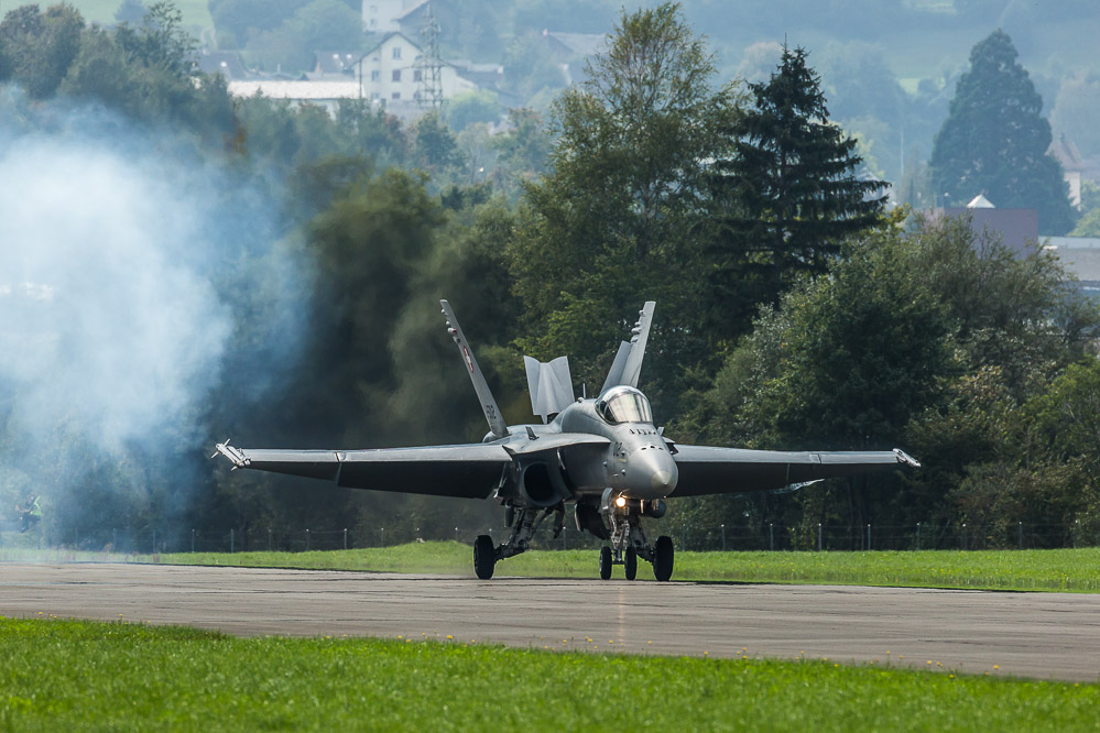 hornet_116