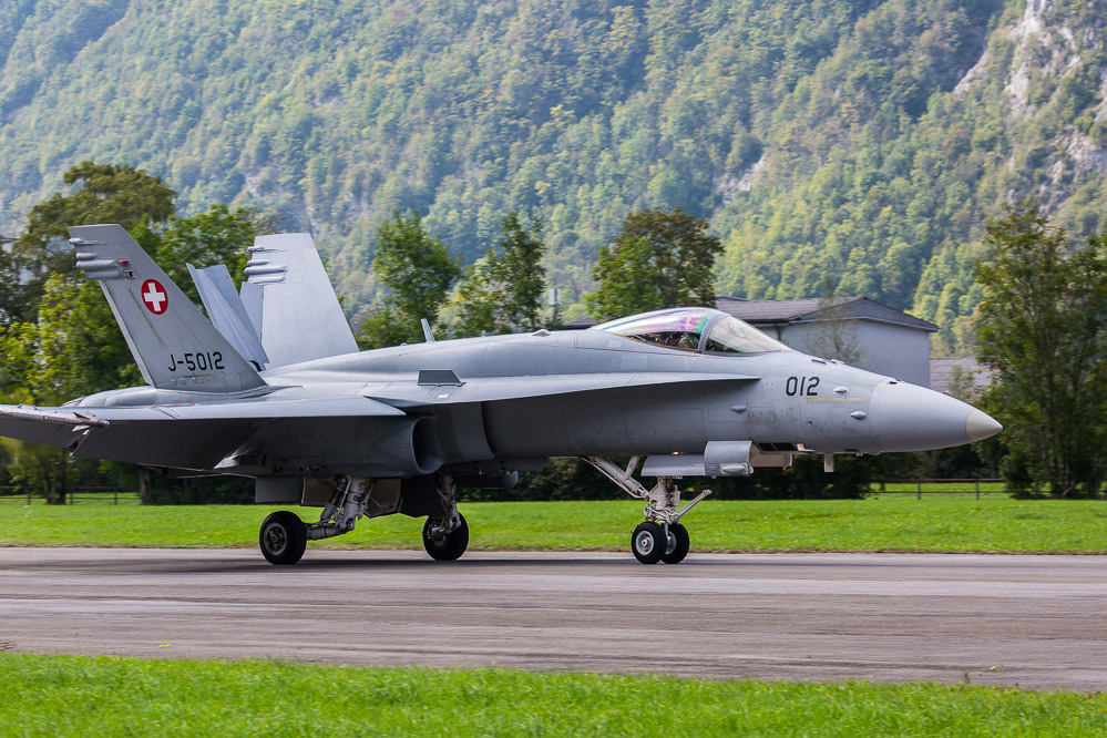 hornet_117