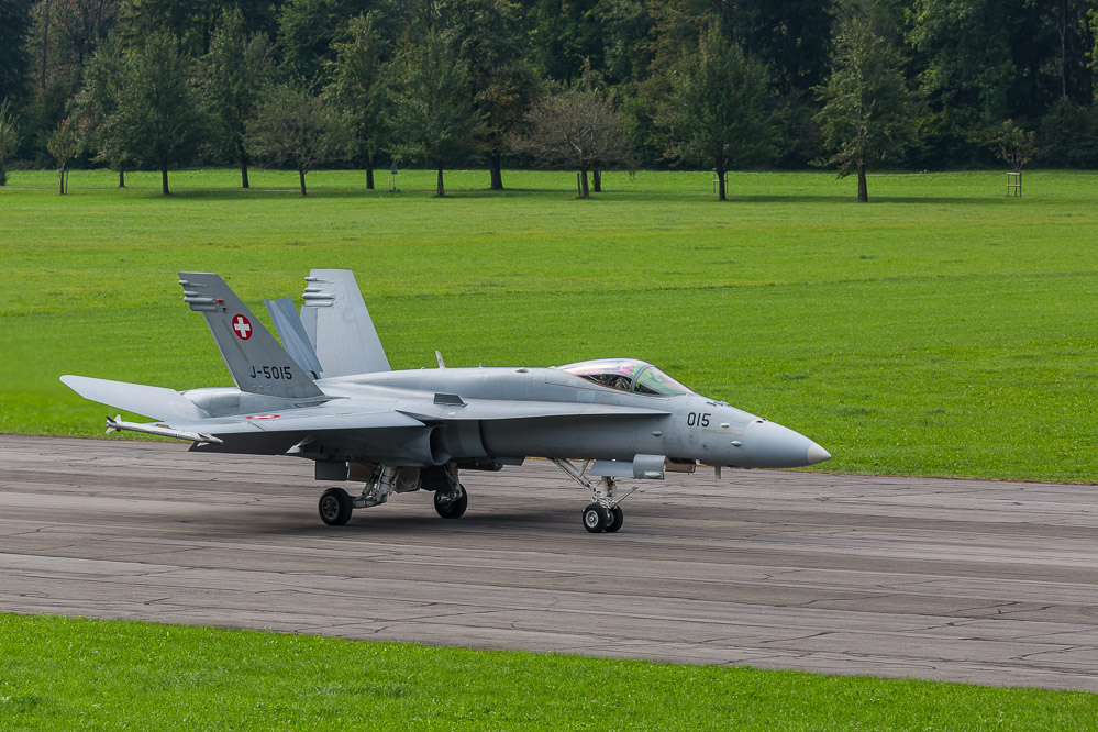 hornet_119