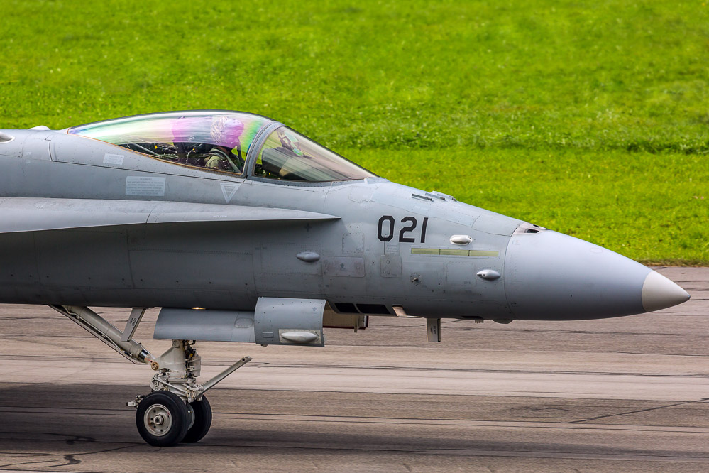 hornet_124