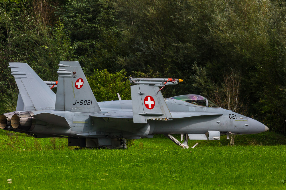 hornet_126
