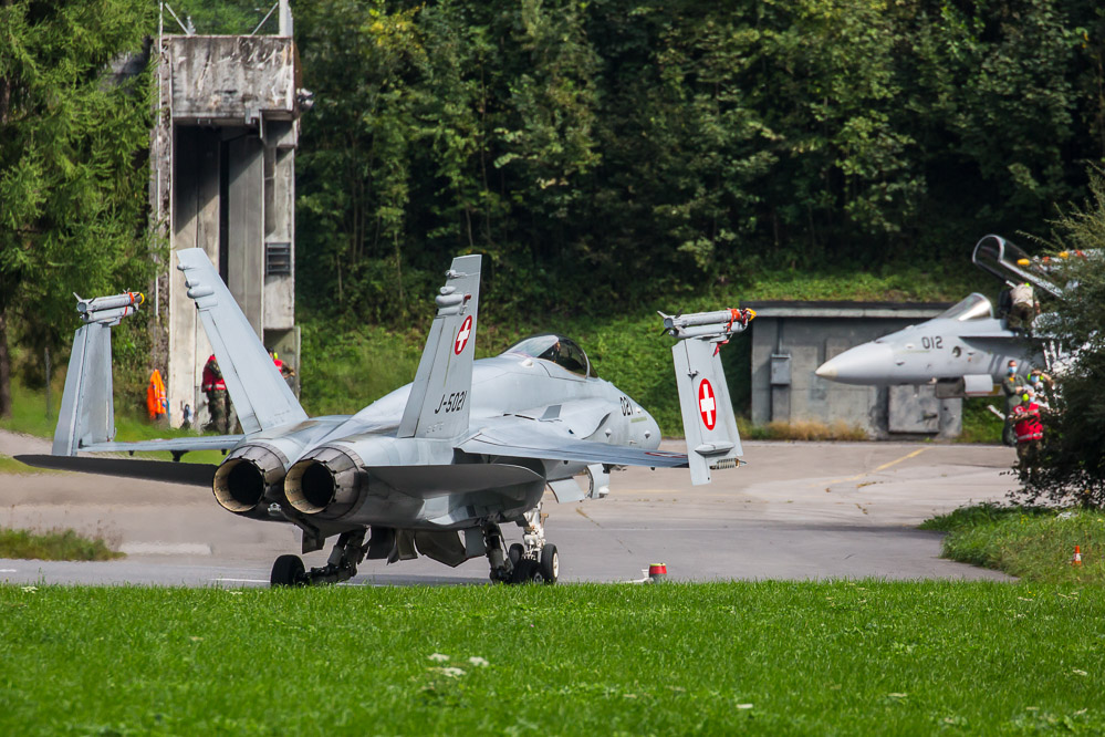 hornet_127