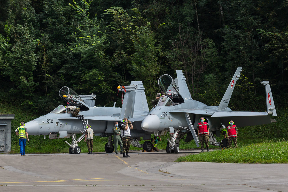 hornet_129