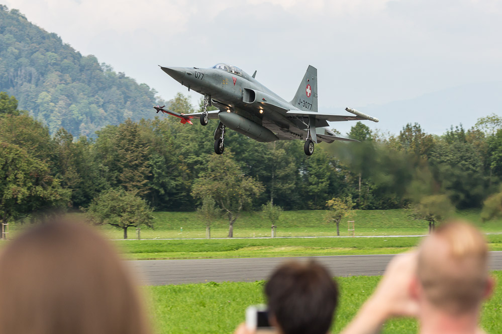hornet_132