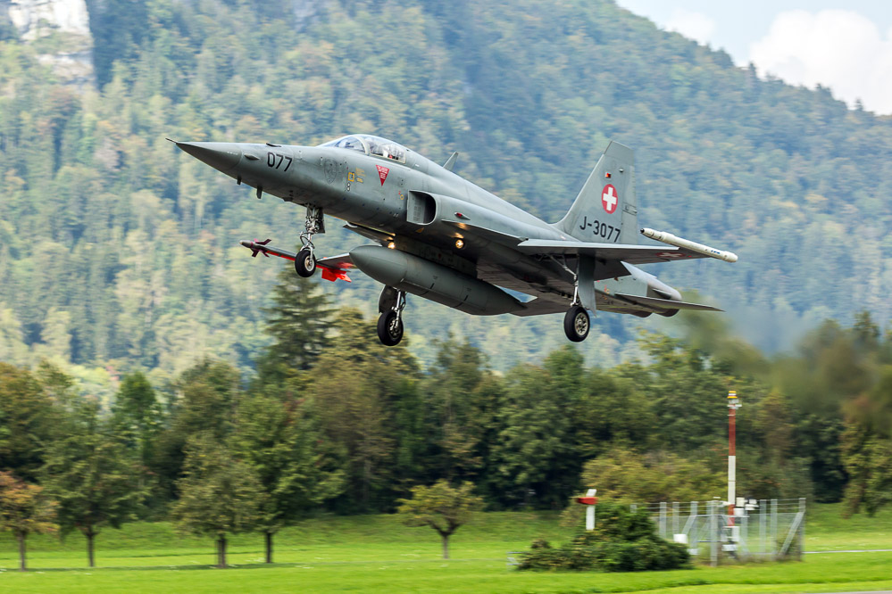 hornet_133