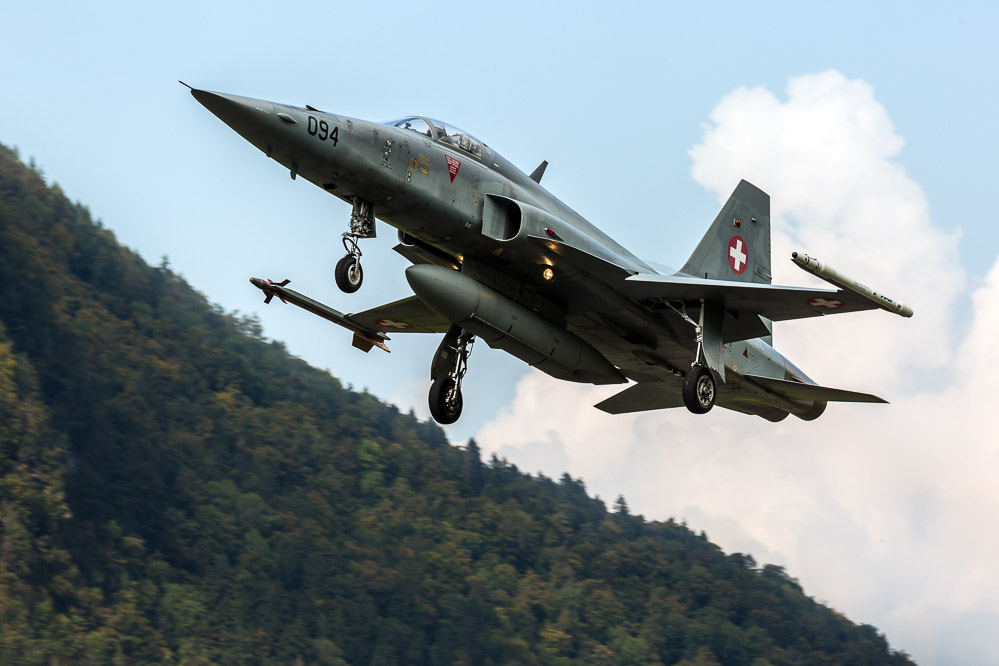 hornet_134