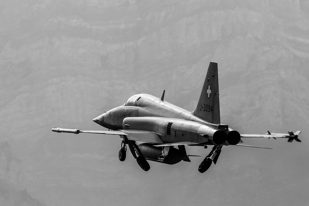 hornet_135