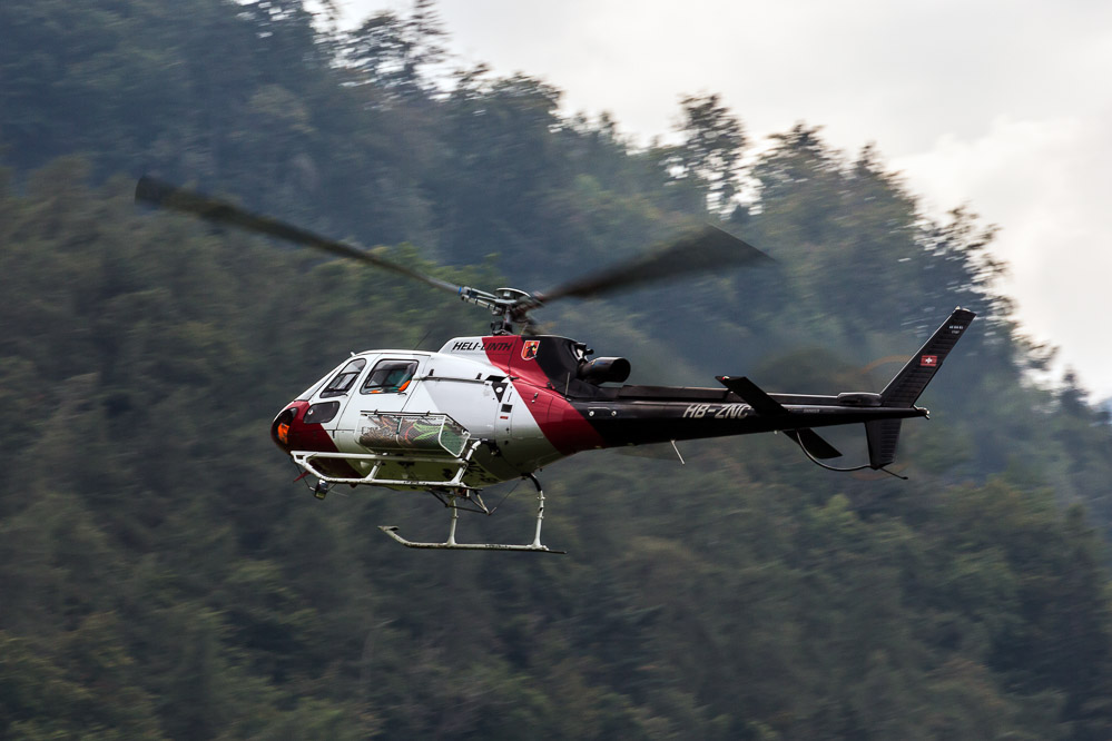 hornet_140