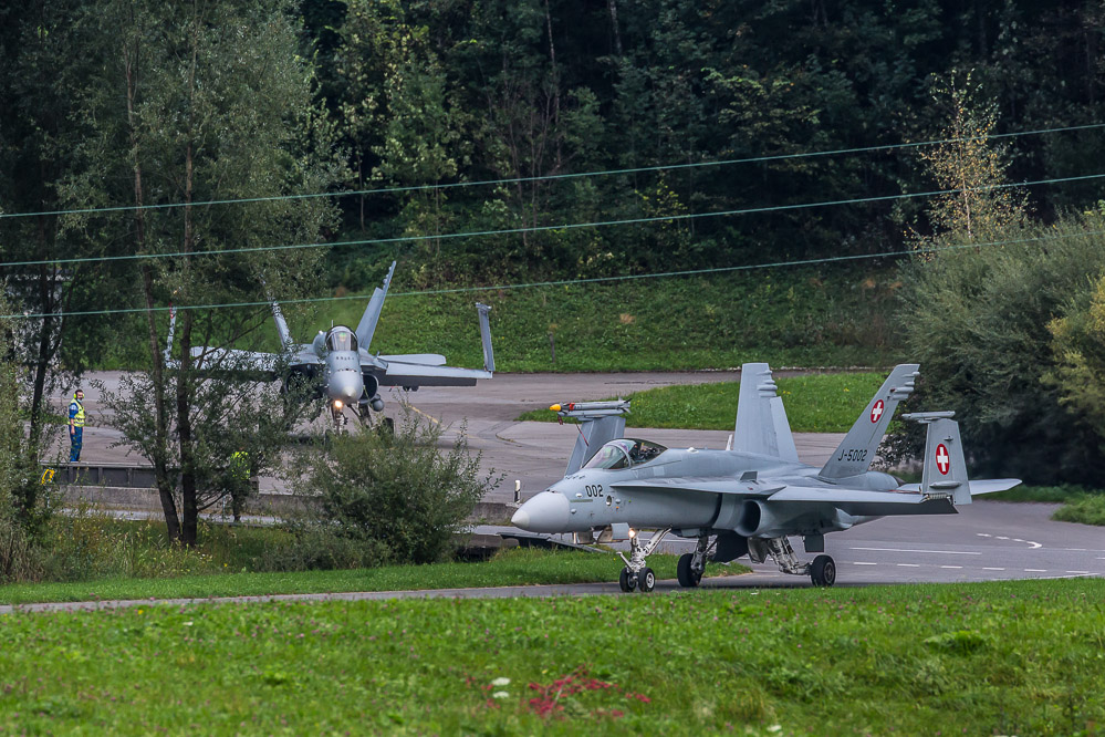 hornet_142