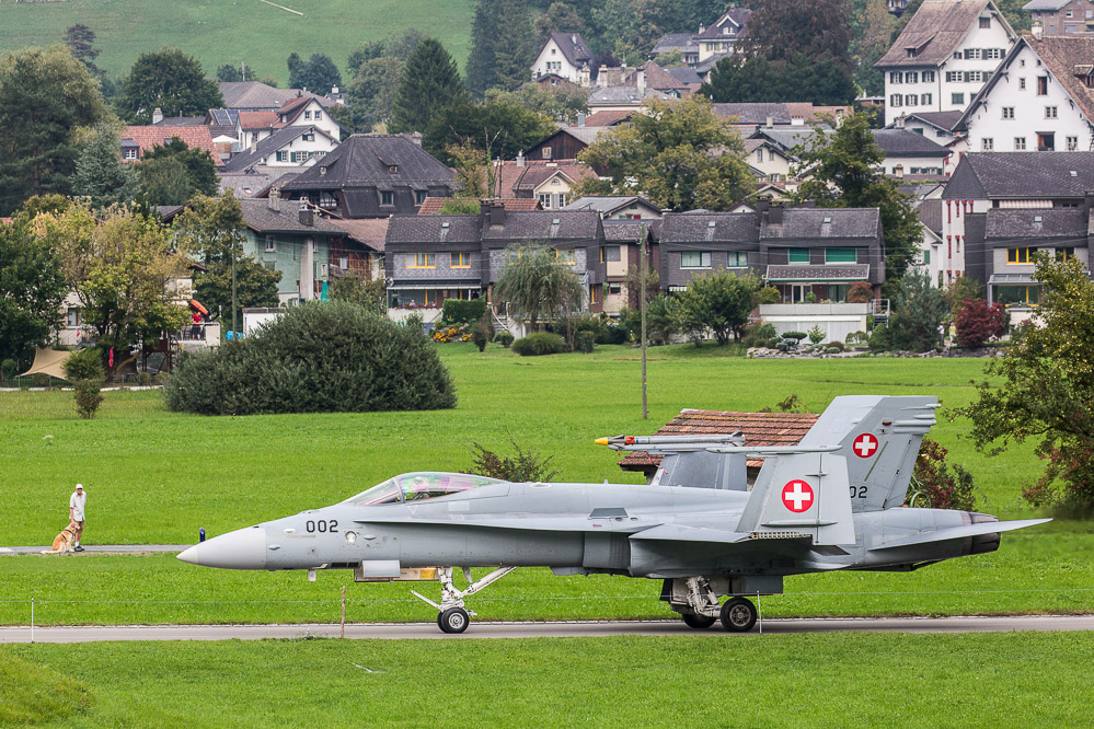 hornet_144