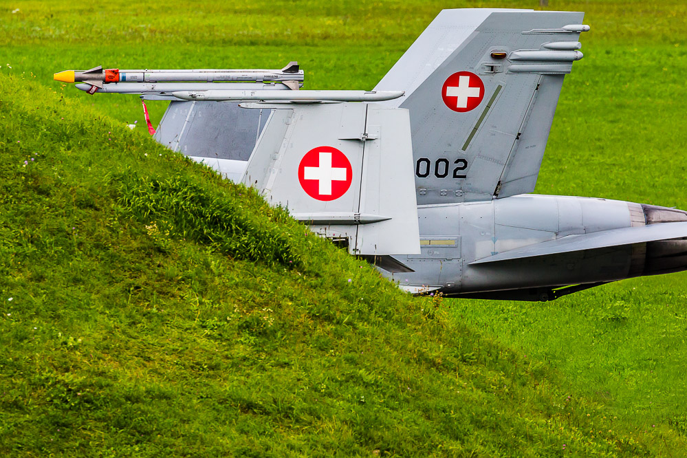 hornet_145