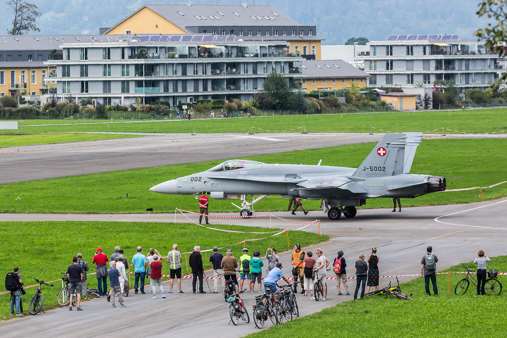 hornet_147