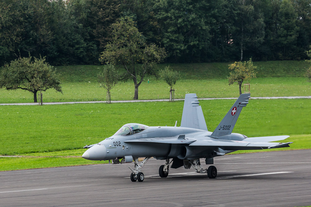 hornet_148