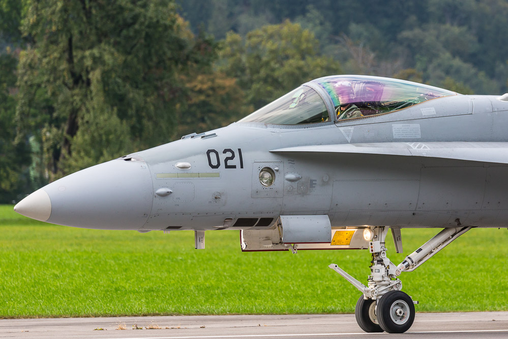 hornet_151
