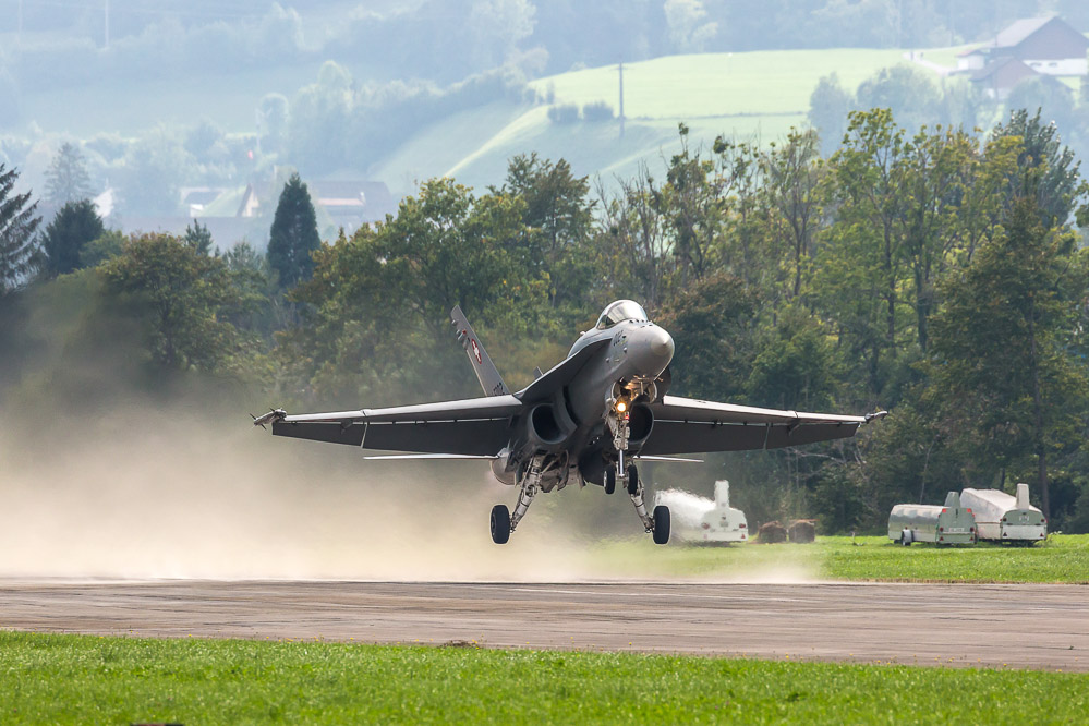 hornet_152