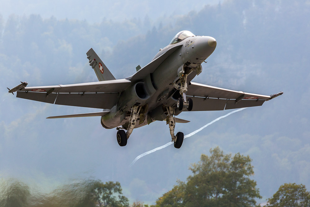 hornet_154