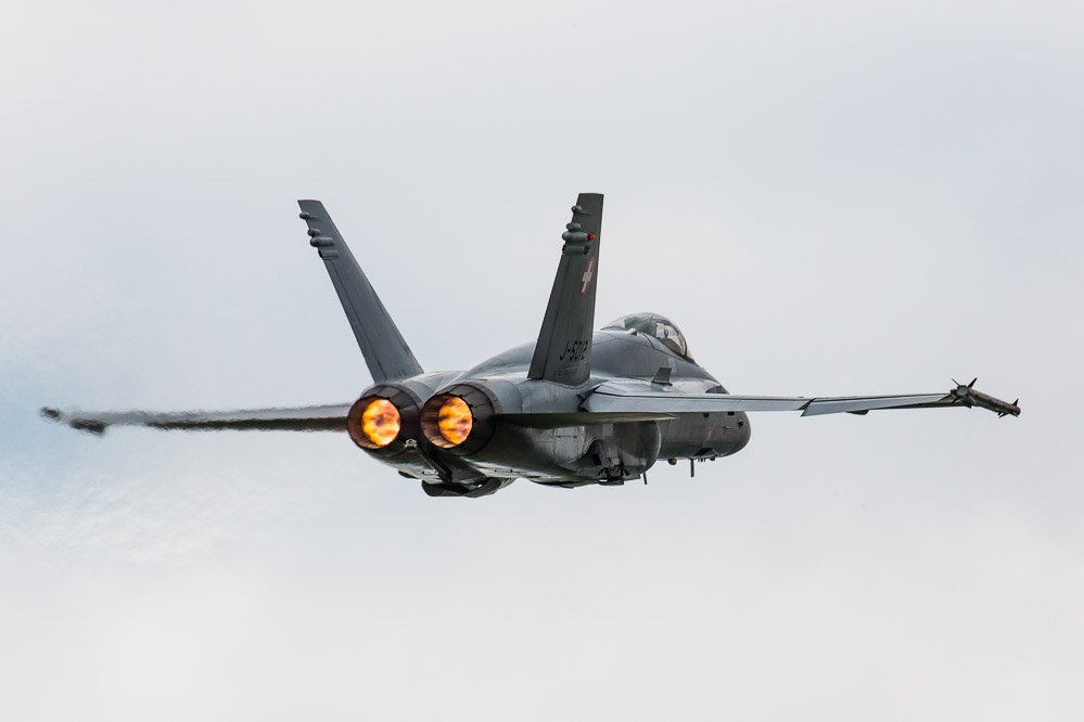 hornet_155