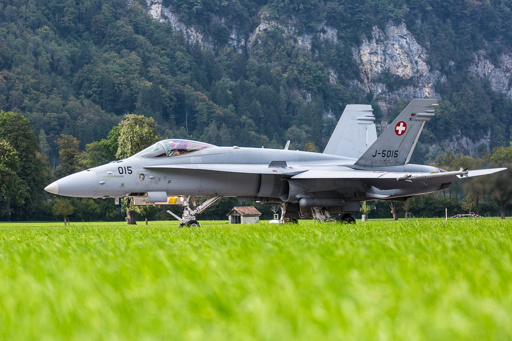 hornet_156