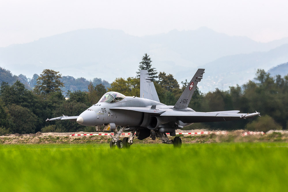 hornet_157