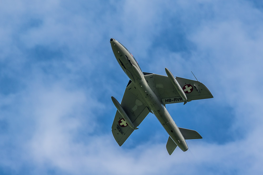 hunter25 - 239