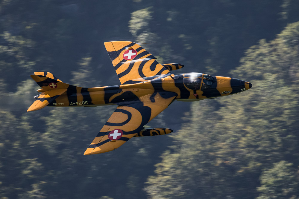 hunter25 - 316