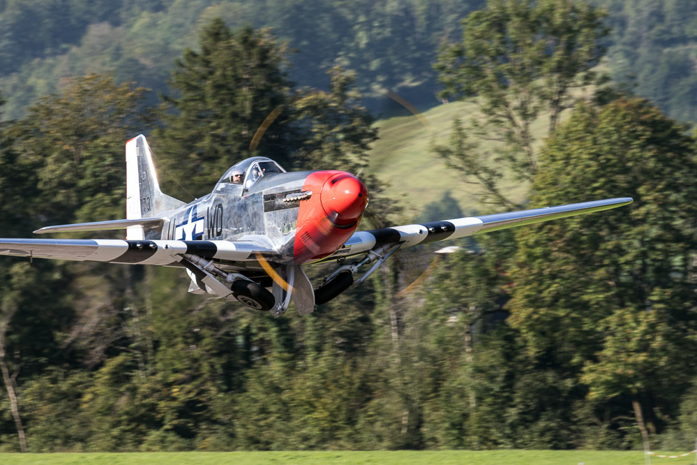 hunter25 - 442