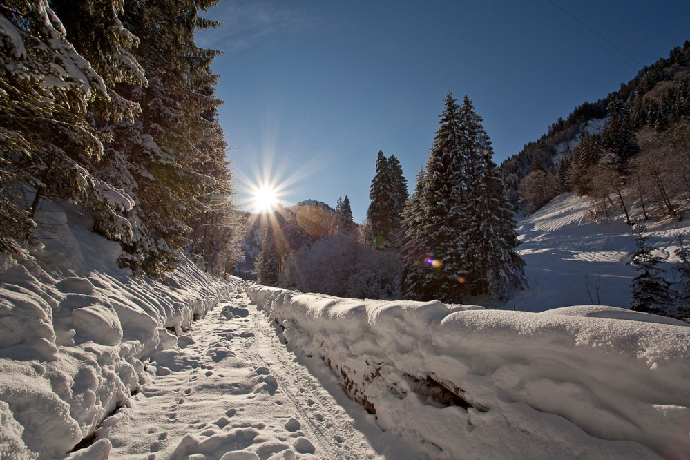 hw1112_018 - Sonnenweg