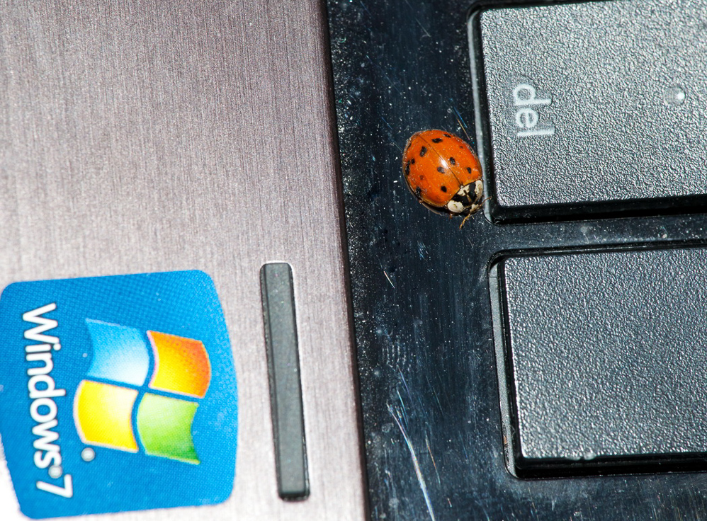 hw1112_024 - W7 hat einen Bug