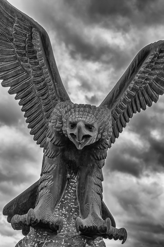 105_island_21-09_Steinadler