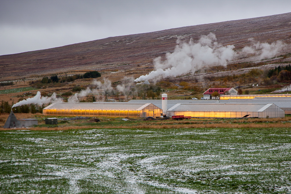0666_island_27-09_Geothermal beheiztes Gewächshaus