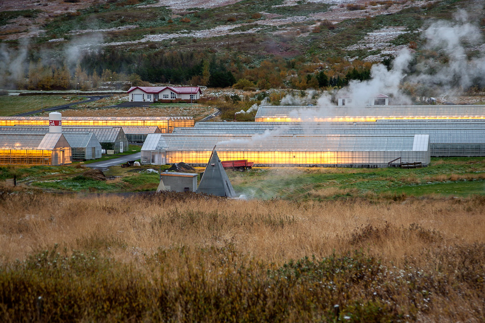 0667_island_27-09_Geothermal beheiztes Gewächshaus