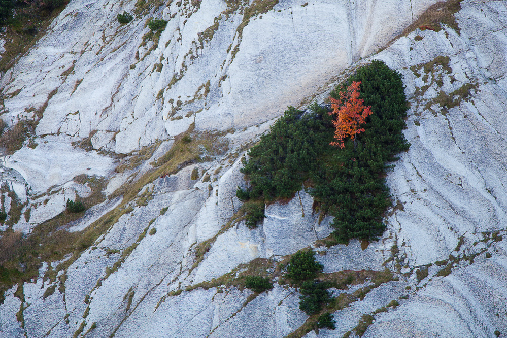 Leistchamm - 002 - Herbst