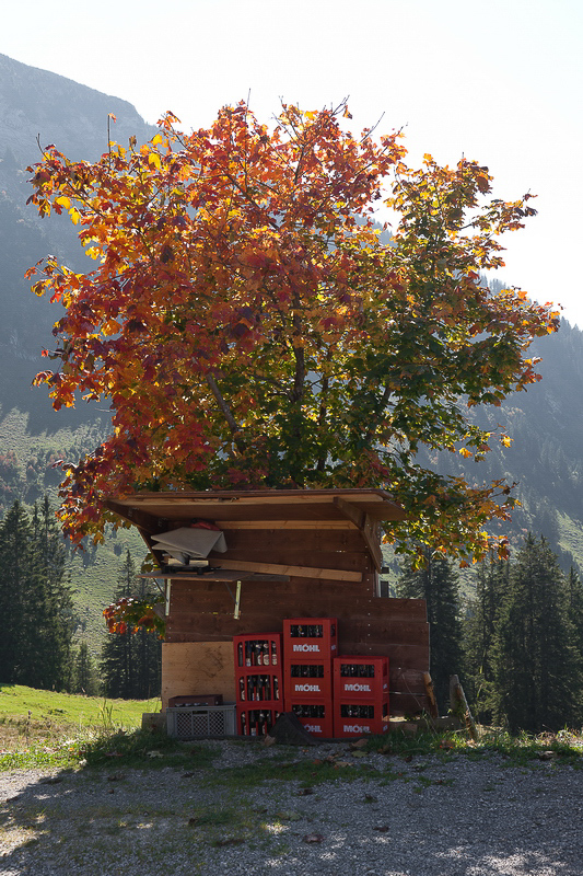 Leistchamm - 017 - Prost Herbst