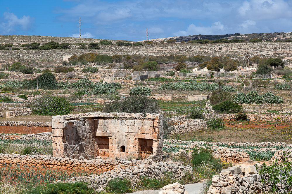 malta_015_-_Landwirtschaft