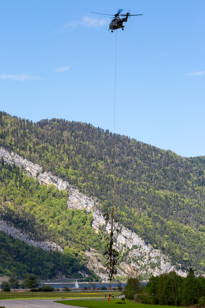 mei_alp_066