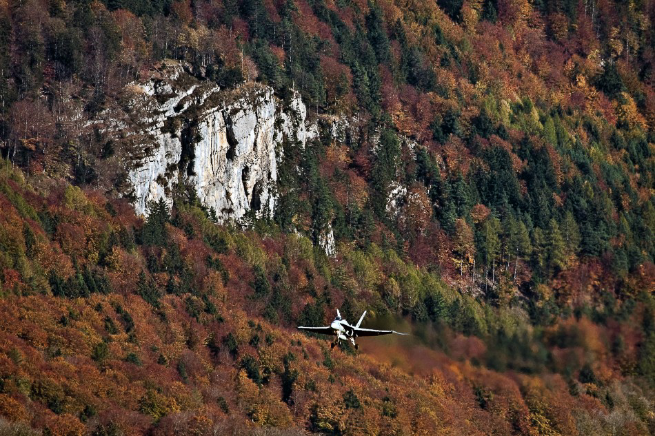 Meiringen 09 - 030 - Hornet@Herbstwald