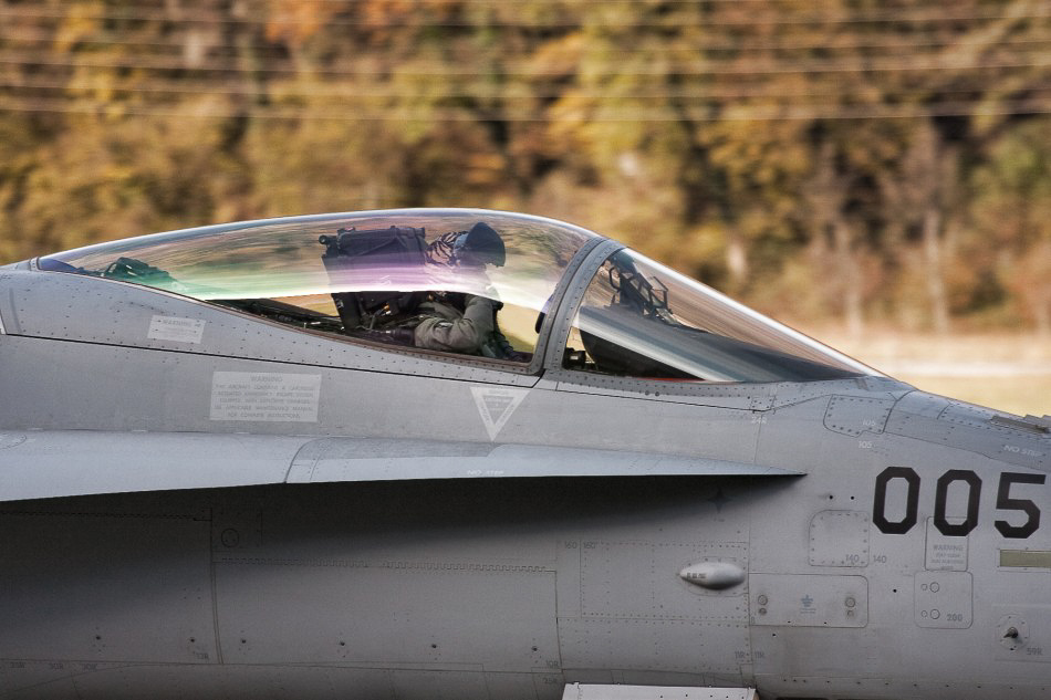 Meiringen 09 - 037 - Tigerhelm