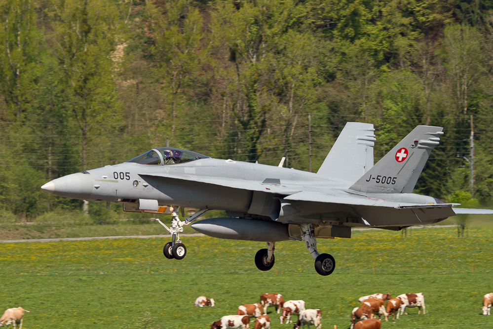 Meiringen - 074 - Landung