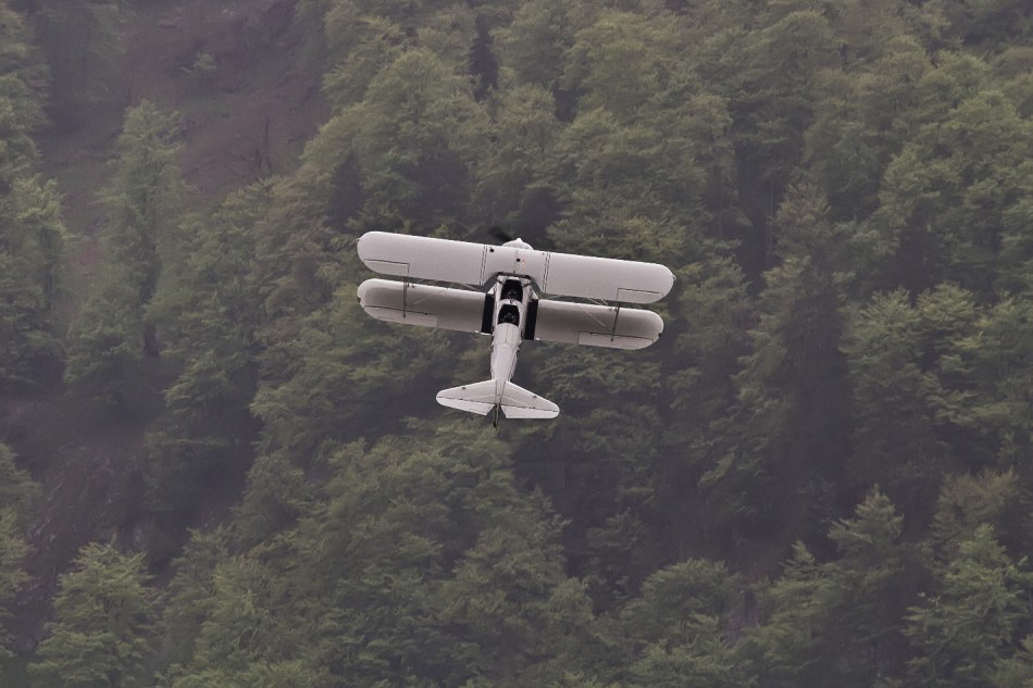 Mollis - 068 - Stearman
