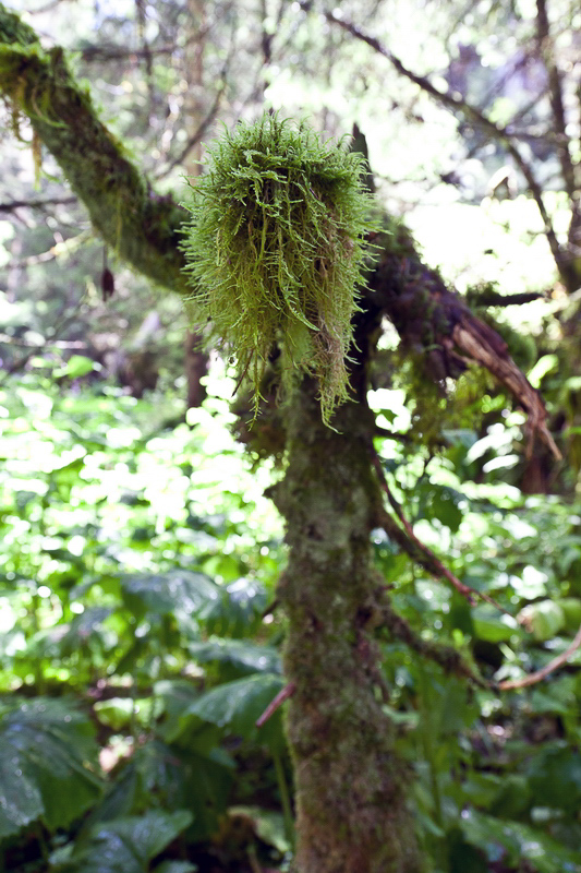 murgtal_018