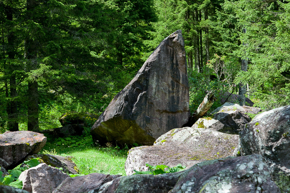 murgtal_020