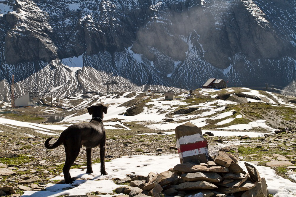 Muttsee - Kistenpass - 017
