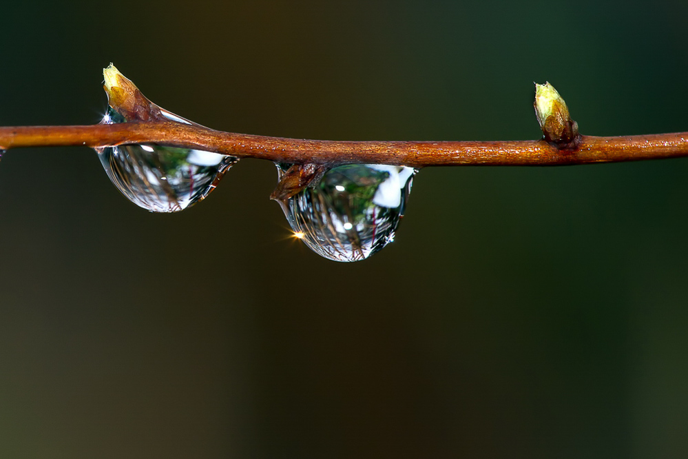 Natur - 015 - Tropfen