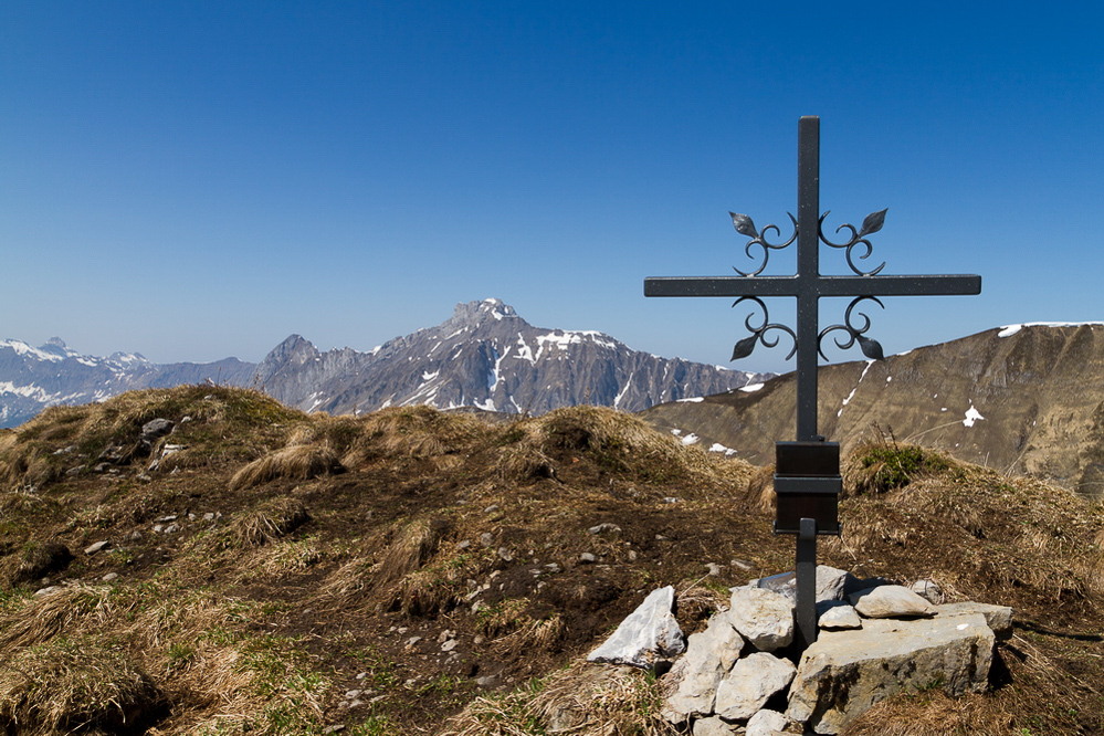 Natur - 023 - Dejenstock