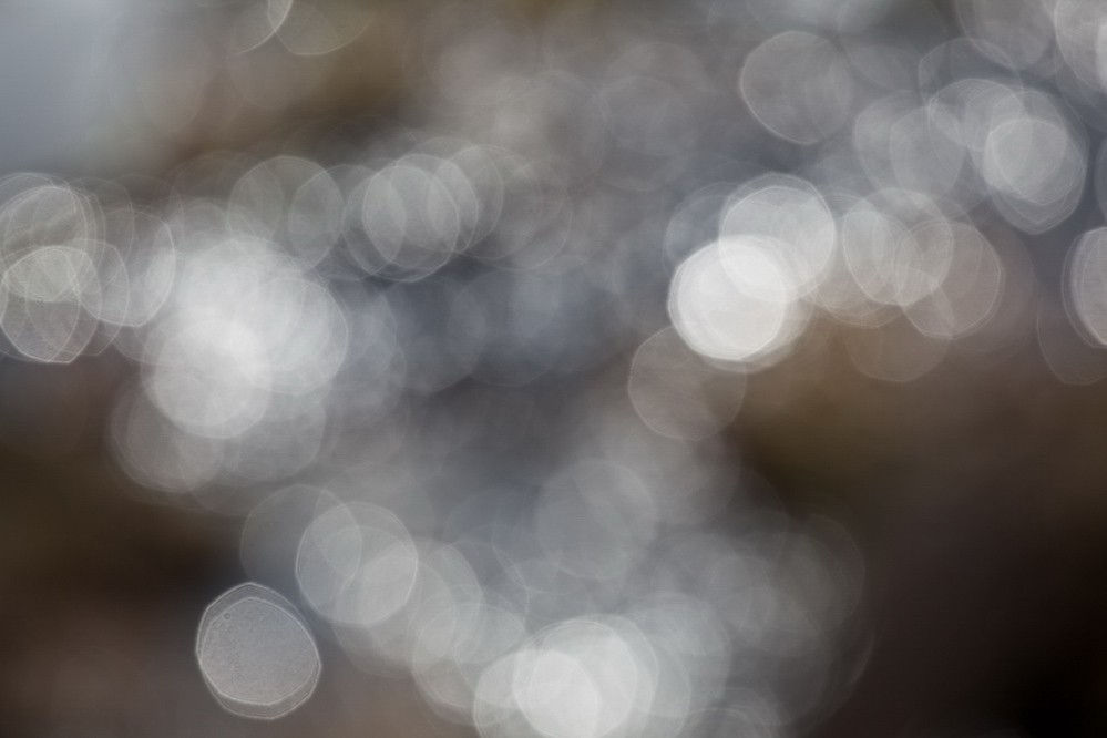 Natur 2012 - 001 - Lichterspiel
